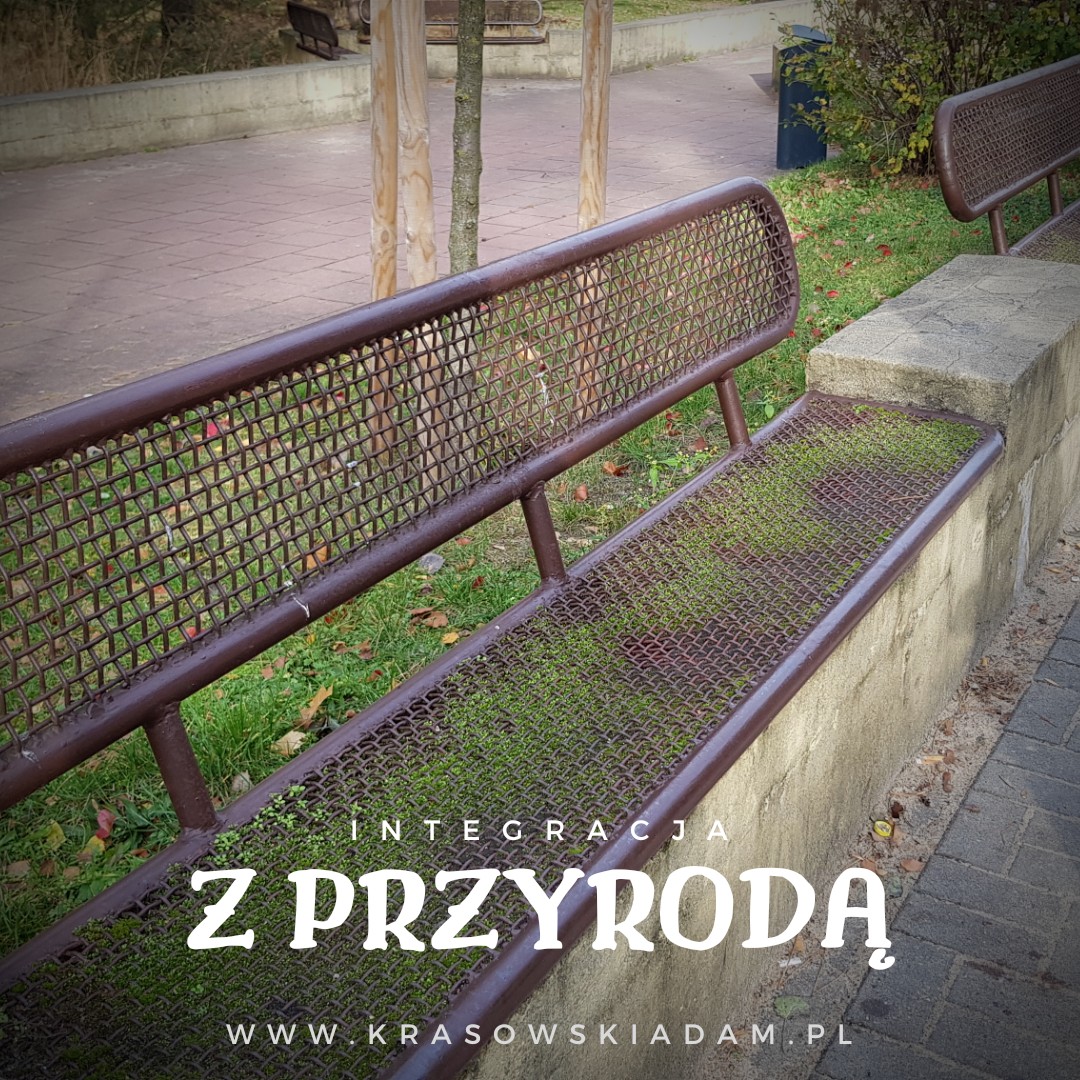 20190305 114132 00015976108141804394579