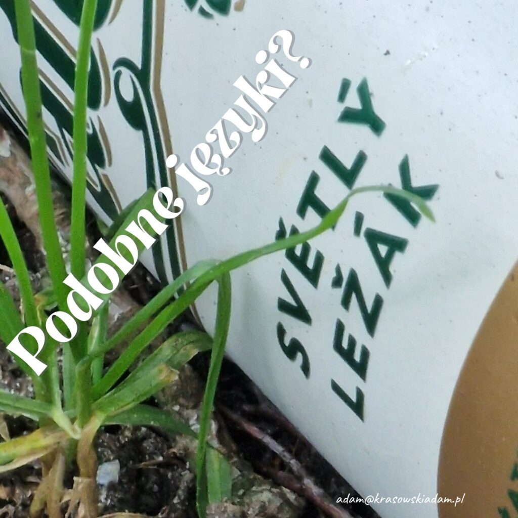 Kopia Kopia Kopia Note and Diary Themed Instagram Post 20230912 124257 0000