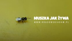 20190606 130034 0000