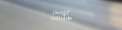 0001 3183296676 20210621 061351 0000