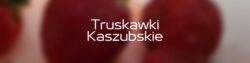 0001 3570380243 20210629 062111 0000