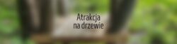 png 20220518 124655 0000