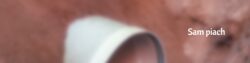 png 20221108 080109 0000